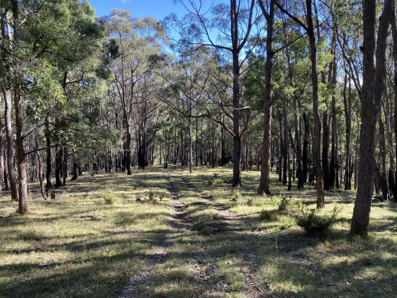 681 Princes Highway, Black Range NSW 2550
