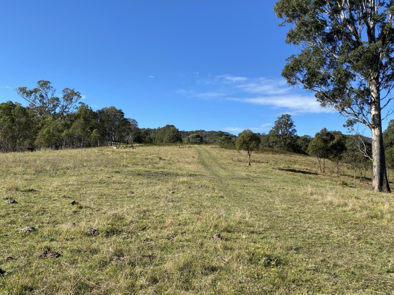 681 Princes Highway, Black Range NSW 2550