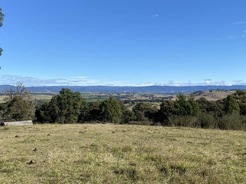 681 Princes Highway, Black Range NSW 2550