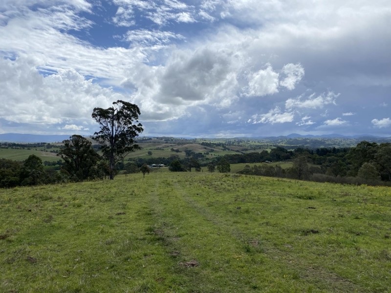 681 Princes Highway, Bega NSW 2550