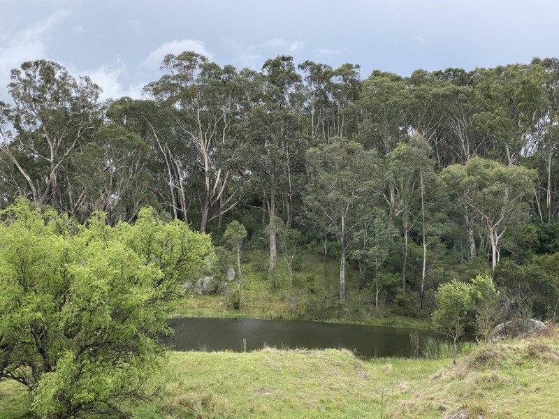 681 Princes Highway, Bega NSW 2550
