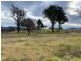 Lots 1, 2 Princes Highway, Cobargo NSW 2550