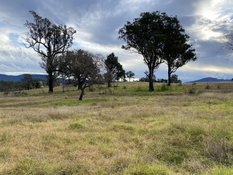 Lots 1, 2 Princes Highway, Cobargo NSW 2550