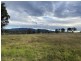Lots 1, 2 Princes Highway, Cobargo NSW 2550