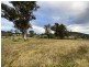 Lots 1, 2 Princes Highway, Cobargo NSW 2550