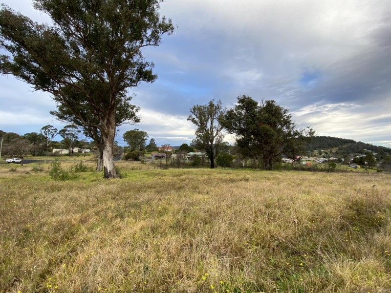 Lots 1, 2 Princes Highway, Cobargo NSW 2550