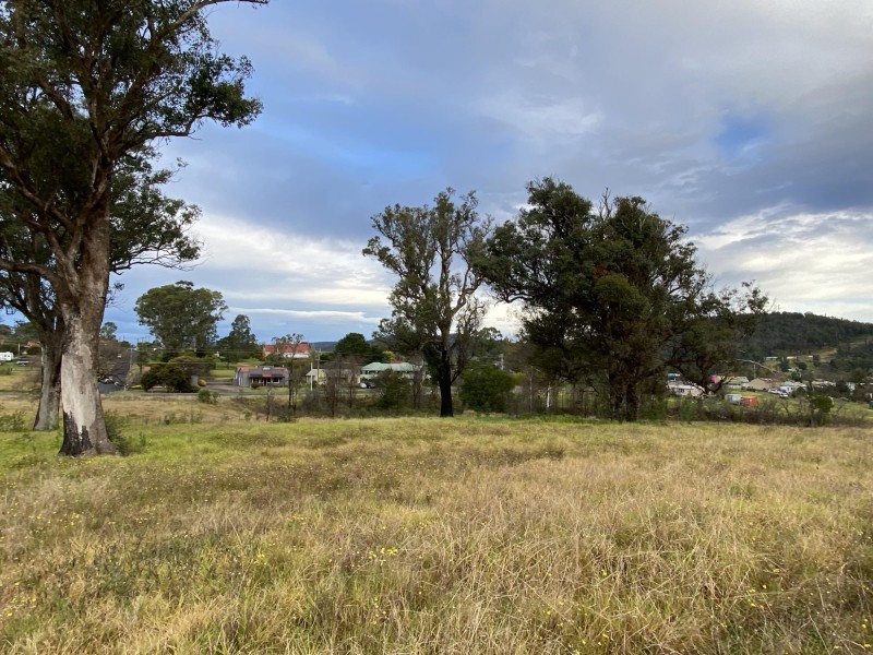 Lots 1, 2 Princes Highway, Cobargo NSW 2550