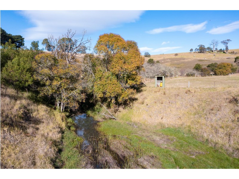 215 Daisy Hill Road, Buckajo NSW 2550