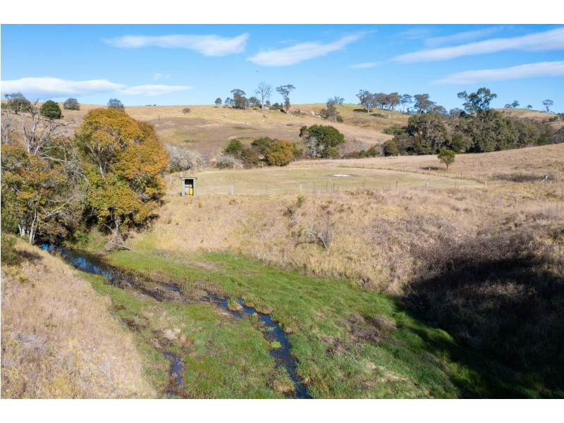 215 Daisy Hill Road, Buckajo NSW 2550