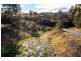 215 Daisy Hill Road, Buckajo NSW 2550