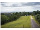 1236 Myrtle Mountain Road, Candelo NSW 2550