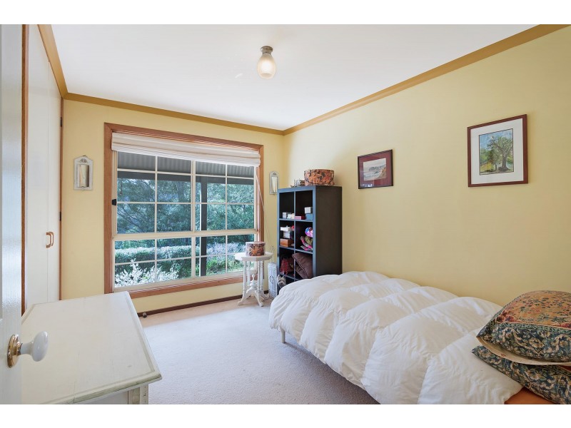 1236 Myrtle Mountain Road, Candelo NSW 2550