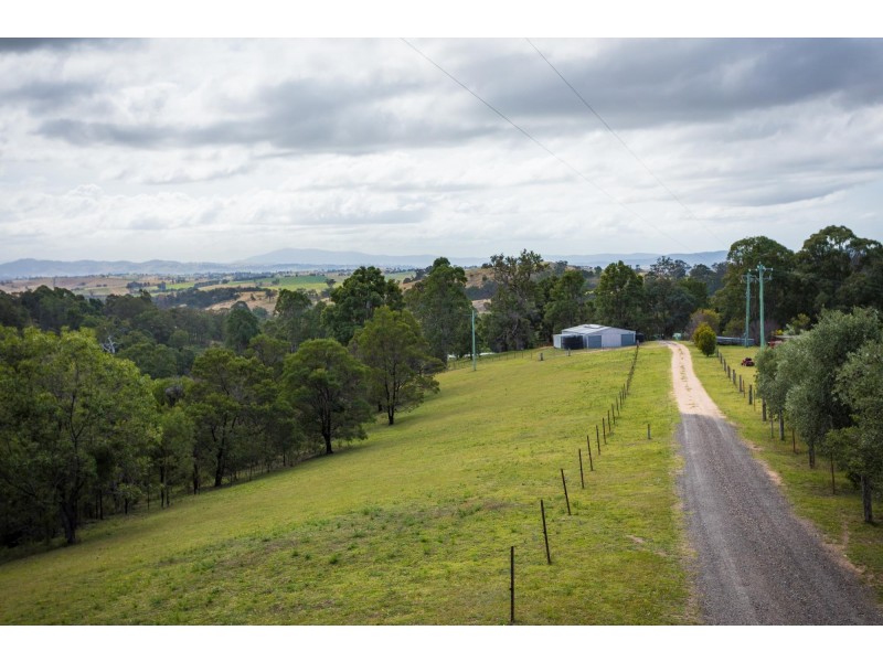 1236 Myrtle Mountain Road, Candelo NSW 2550