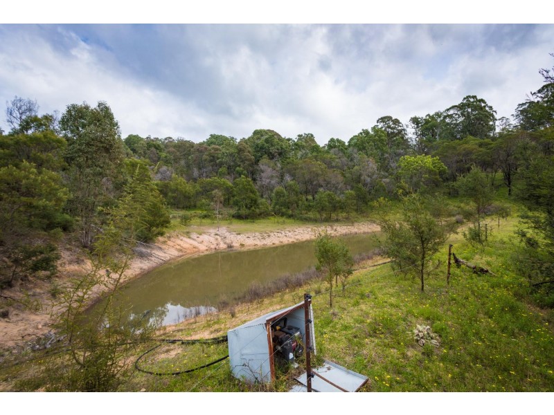 1236 Myrtle Mountain Road, Candelo NSW 2550