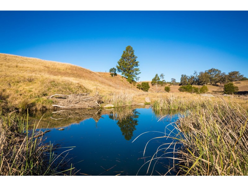 10-16 Nimmitabel Street, Bemboka NSW 2550