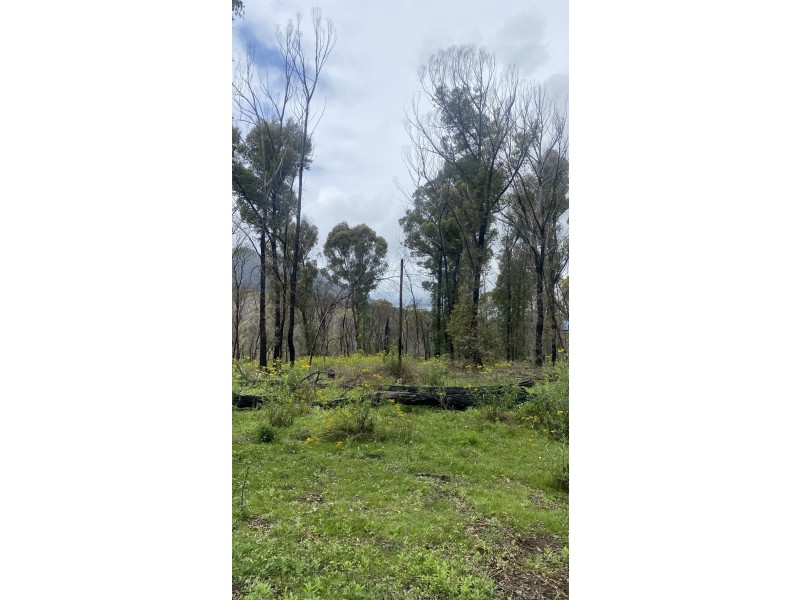 Lot C/650 Yankees Gap Road, Bemboka NSW 2550