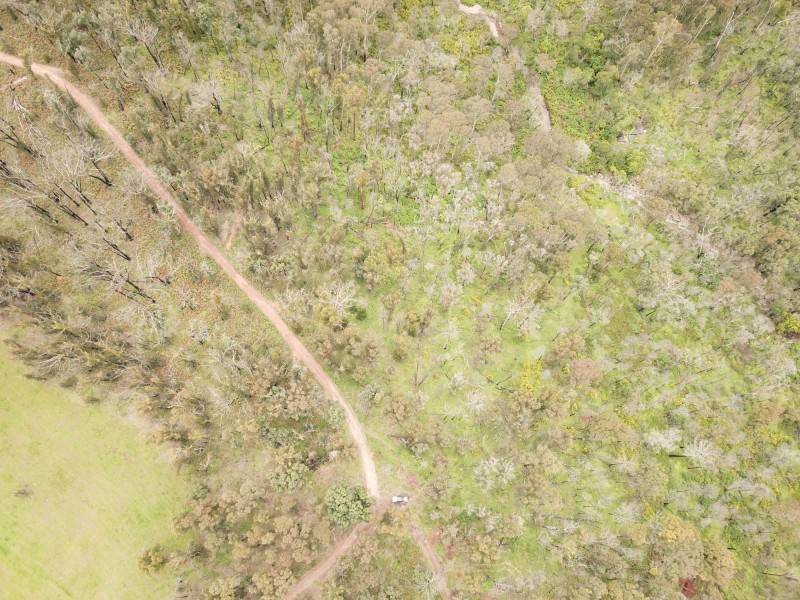 Lot C/650 Yankees Gap Road, Bemboka NSW 2550