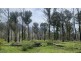Lot C 650 Yankees Gap Road, Bemboka NSW 2550