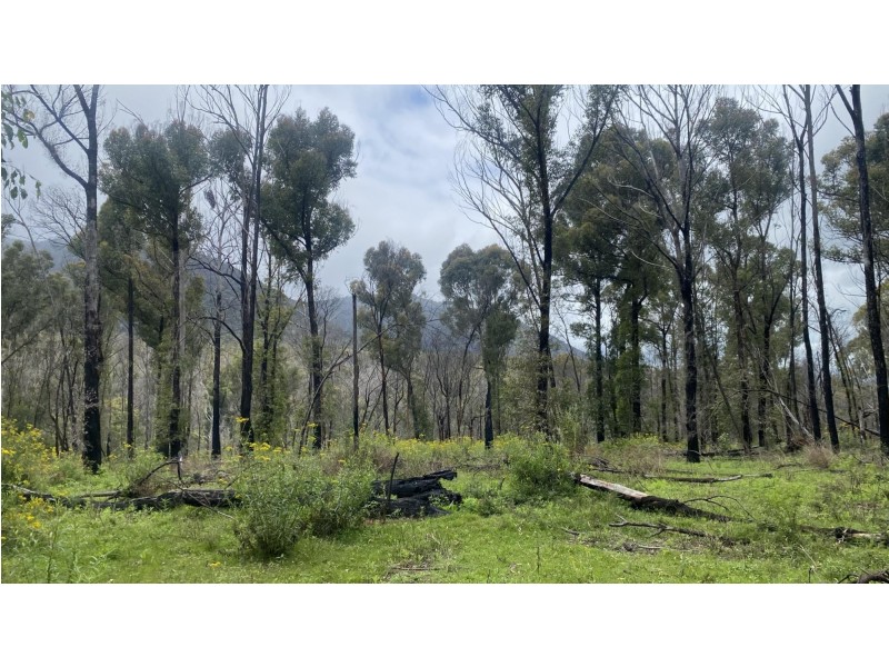 Lot C 650 Yankees Gap Road, Bemboka NSW 2550