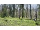Lot C 650 Yankees Gap Road, Bemboka NSW 2550