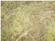 Lot C 650 Yankees Gap Road, Bemboka NSW 2550
