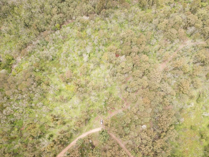 Lot C 650 Yankees Gap Road, Bemboka NSW 2550