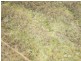 Lot C 650 Yankees Gap Road, Bemboka NSW 2550