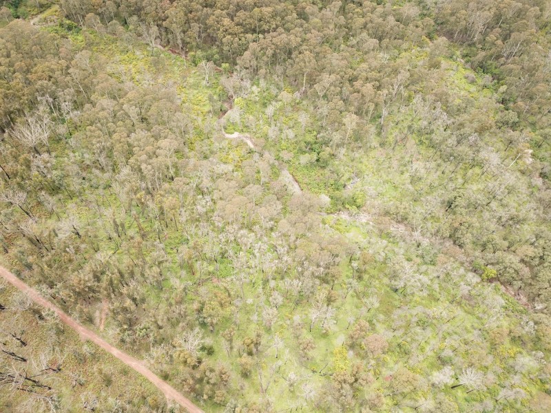 Lot C 650 Yankees Gap Road, Bemboka NSW 2550