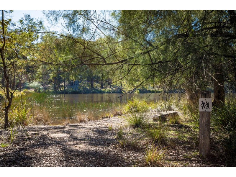 824 Burragate Rd, Wyndham NSW 2550