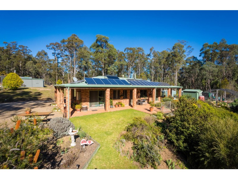 824 Burragate Rd, Wyndham NSW 2550