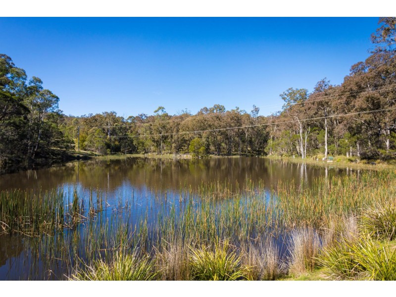 824 Burragate Rd, Wyndham NSW 2550