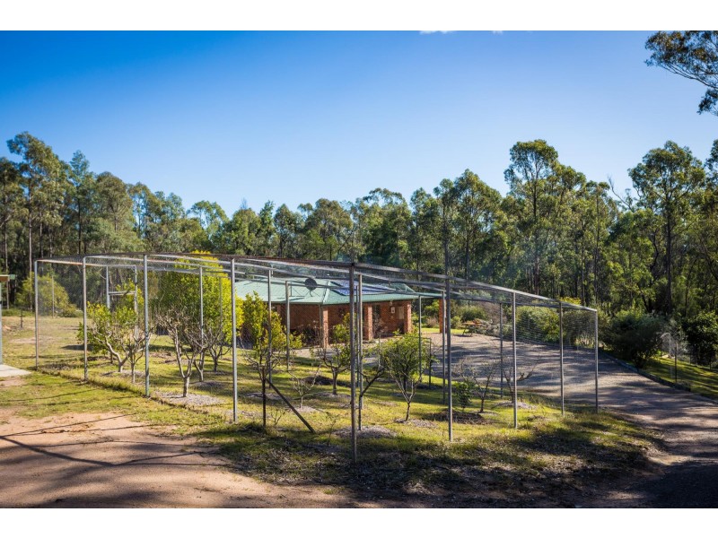 824 Burragate Rd, Wyndham NSW 2550
