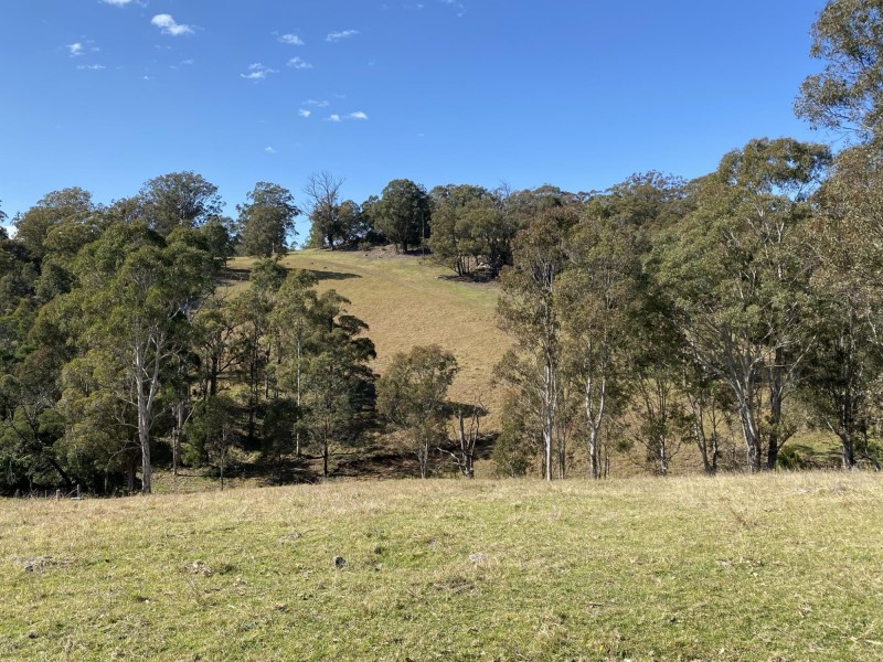 Lot 1682/169 Cochranes Road, Wolumla NSW 2550