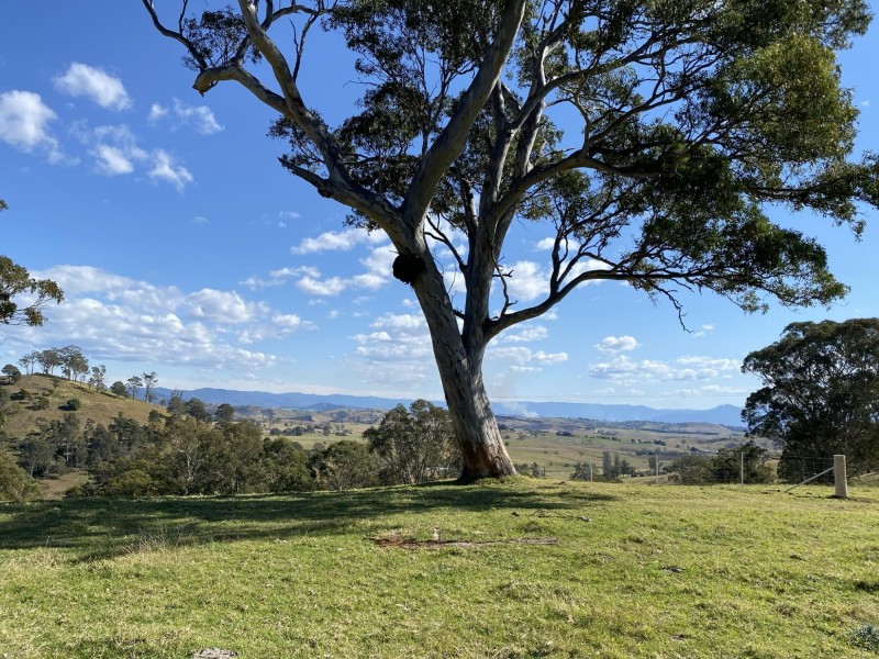 Lot 1682/169 Cochranes Road, Wolumla NSW 2550