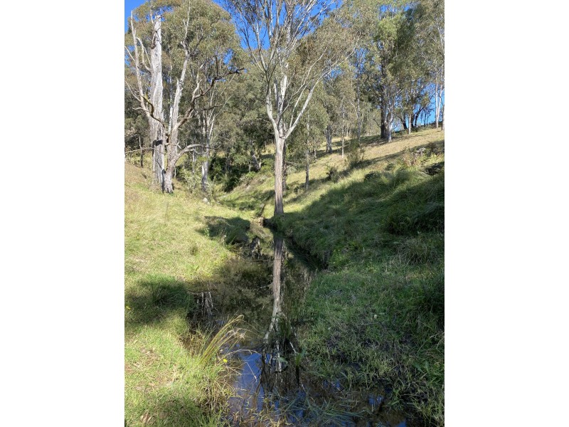 Lot 1682/169 Cochranes Road, Wolumla NSW 2550