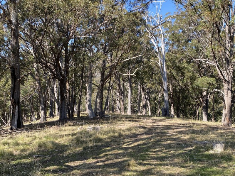 Lot 1682/169 Cochranes Road, Wolumla NSW 2550