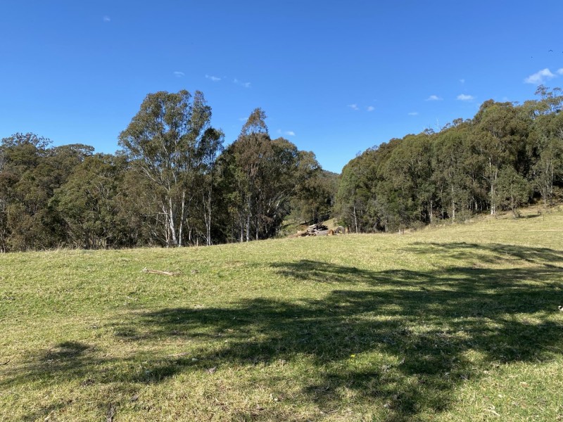 Lot 1682/169 Cochranes Road, Wolumla NSW 2550