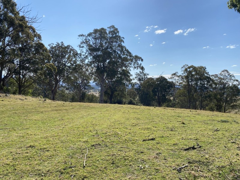 Lot 1682/169 Cochranes Road, Wolumla NSW 2550