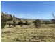 Lot 1201/169 Cochranes Road, Wolumla NSW 2550