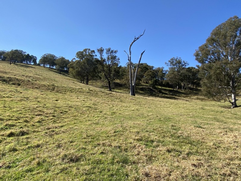 Lot 1201/169 Cochranes Road, Wolumla NSW 2550