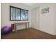 3 Queen Street, Candelo NSW 2550