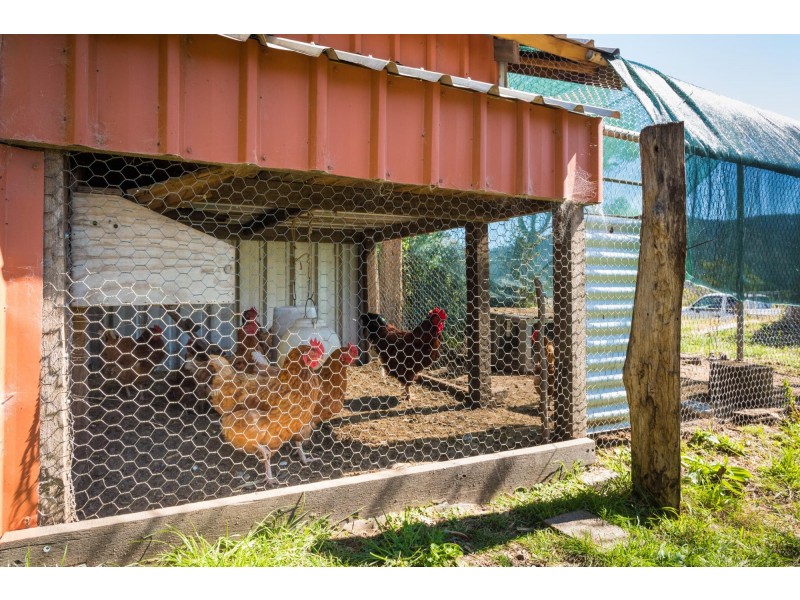 7 Stanton Lane, Wyndham NSW 2550