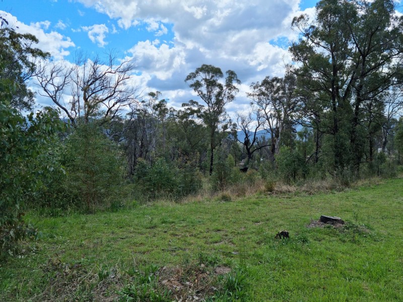 Lot 22 Yankees Gap Road, Bemboka NSW 2550
