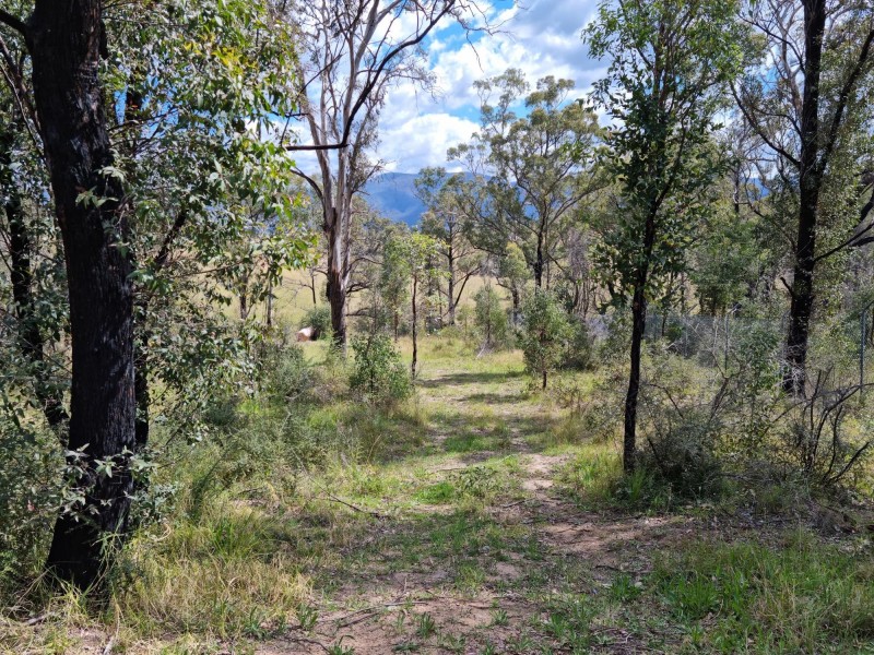 Lot 22 Yankees Gap Road, Bemboka NSW 2550