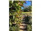 187 Turingal Head Road, Wallagoot NSW 2550