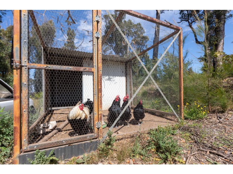 40 Vimy Ridge Road, Reedy Swamp NSW 2550