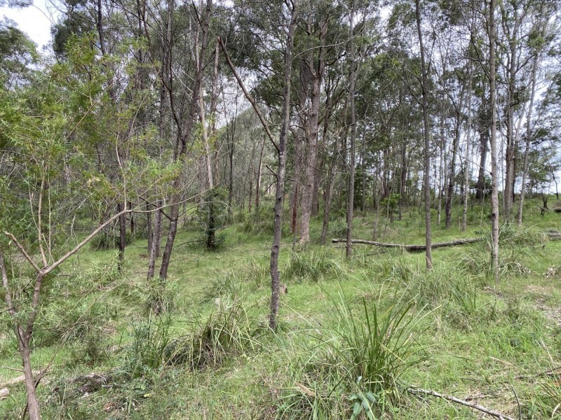 1 Warrigal Range Road, Brogo NSW 2550