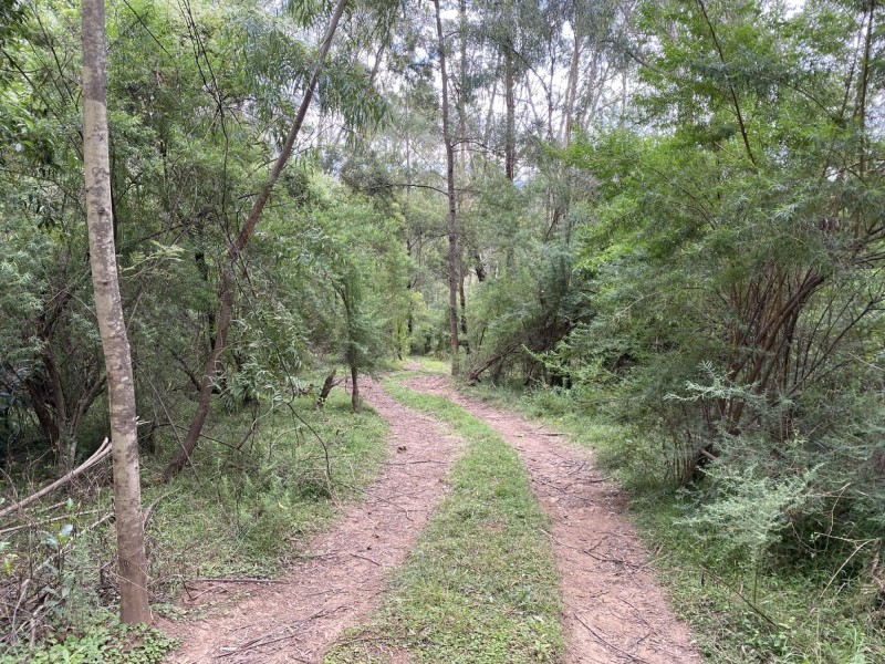 1 Warrigal Range Road, Brogo NSW 2550