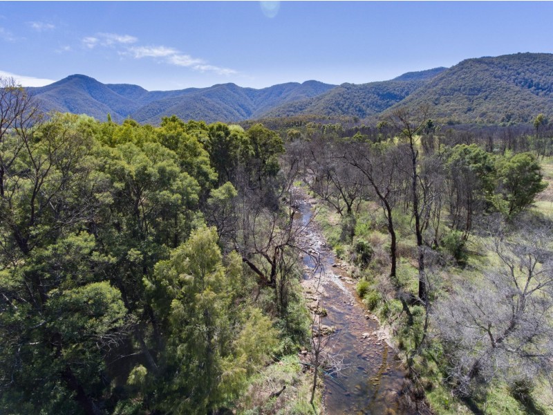 494 Yankees Gap Road, Bemboka NSW 2550