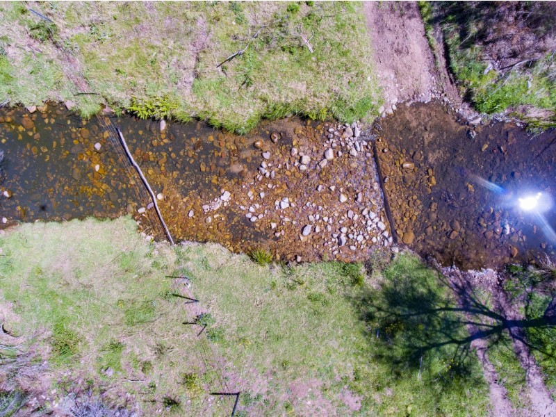 494 Yankees Gap Road, Bemboka NSW 2550